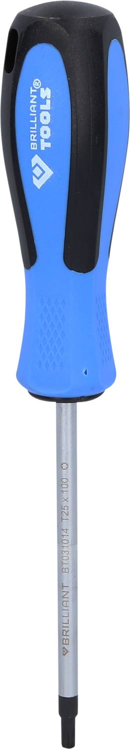 Kreuzschlitz-Schraubendreher mit blau-schwarzem Griff und silberner Klinge. Ideal zum Befestigen oder Lösen von Schrauben.