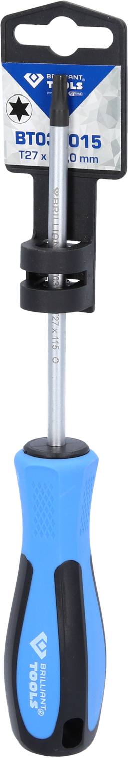 Ein blauer Schraubendreher mit schwarzem Griff und silberner Klinge vor einer Verpackung mit der Aufschrift 'T27 x 100 mm'.