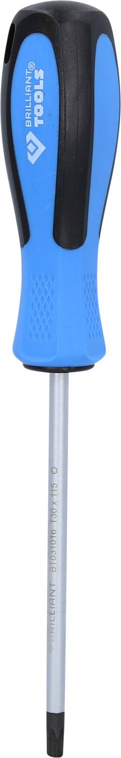 Ein blauer Schraubendreher mit schwarzem Griff und Metallspitze, geeignet für handwerkliche Arbeiten.