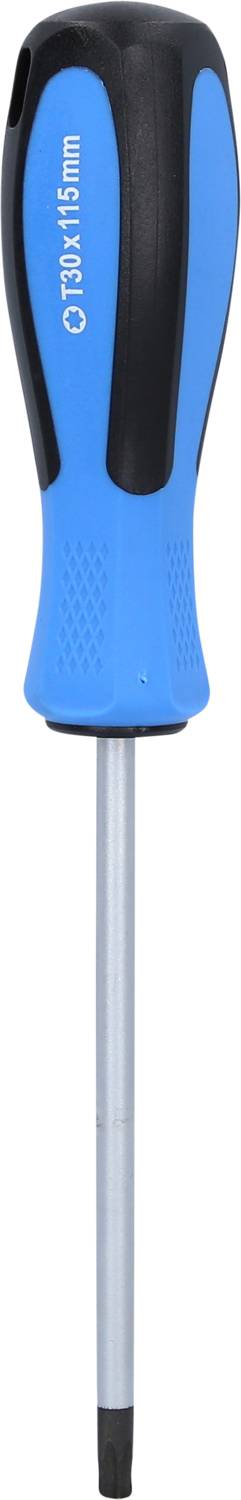 Kreuzschlitzschraubendreher mit blauem ergonomischem Griff und schwarzer Spitze, hauptsächlich für allgemeine Schraubarbeiten verwendet.