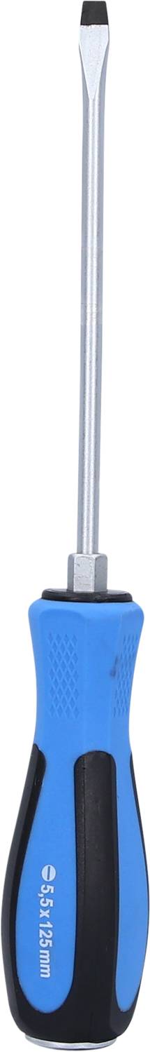 Ein blauer und schwarzer Schraubendreher mit einem flachen Metallschaft und Kunststoffgriff.