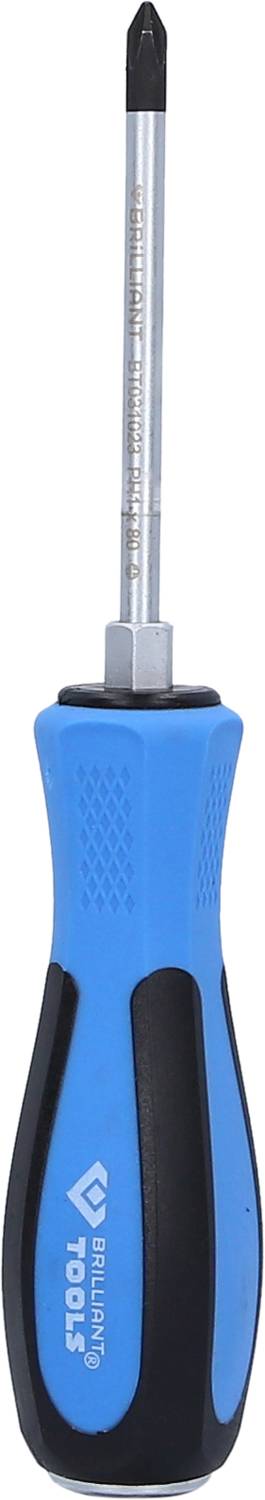 Ein blauer Kreuzschlitzschraubendreher mit schwarzem Griff.