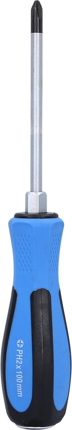 Brilliant Tools BT031024 BT031024 Kreuzschlitz-Schraubendreher PH 2