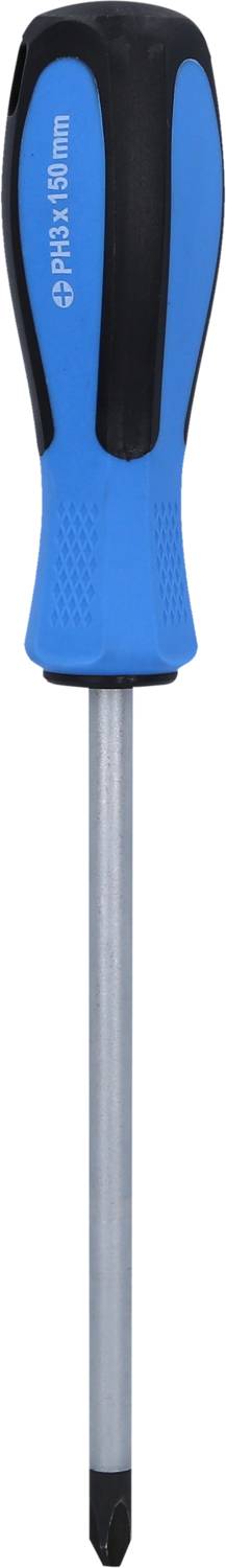 Ein Kreuzschlitz-Schraubendreher mit blau-schwarzem Griff und silberner Klinge.
