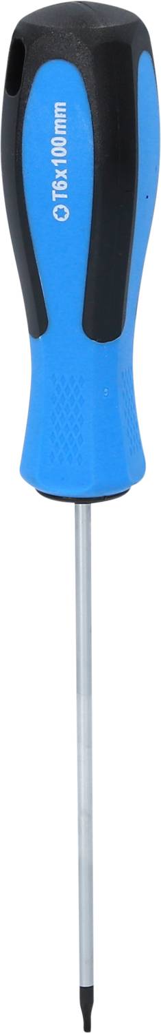 Ein blauer Schraubendreher mit schwarzem Griff. Der Schaft ist silbern und endet in einer kleinen Spitze.