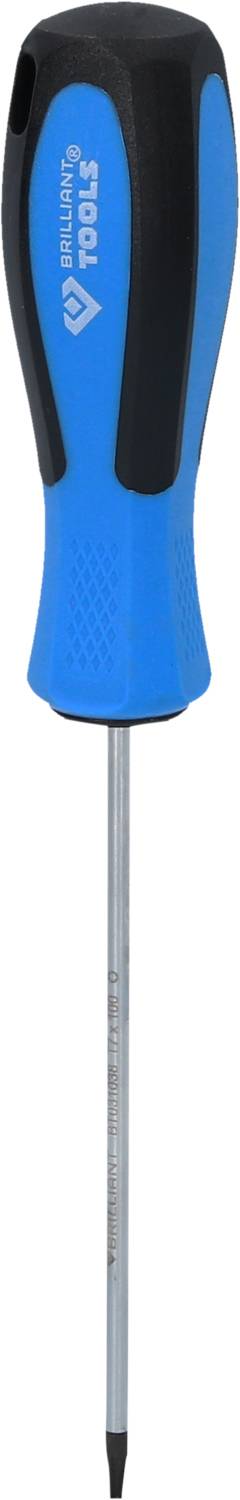 Ein blauer Kreuzschlitzschraubendreher mit schwarzem Griff liegt aufrecht.