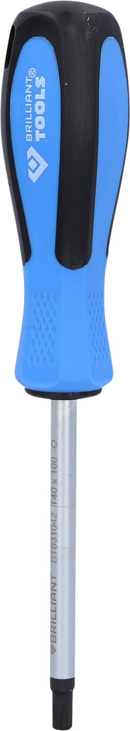Blauer Schraubendreher mit schwarzem Griff und Metallspitze, 'Brilliant Tools' Logo auf Griff.