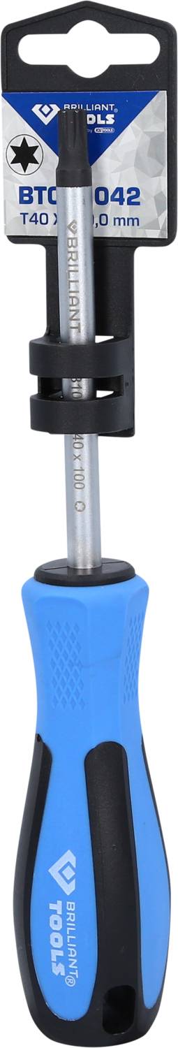 Der Bild zeigt einen Schraubendreher mit blau-schwarzem Griff und einem auswechselbaren Bit. Verpackung zeigt Größe 'T40 100 mm'.