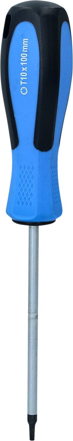 Blauer Schraubendreher mit schwarzem Griff und einem flachen Metallschaft.