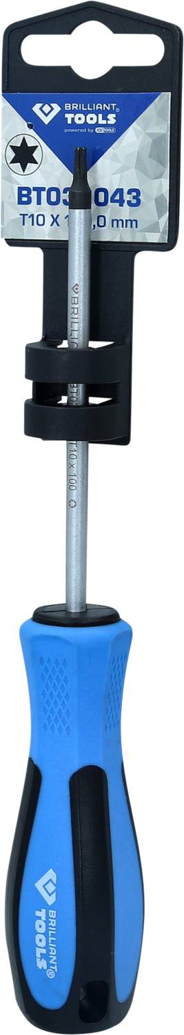 Ein blauer Schraubendreher mit schwarzem Griff und einem T10 x 150 mm Torx-Kopf ist in einer schwarzen Plastikhalterung befestigt.