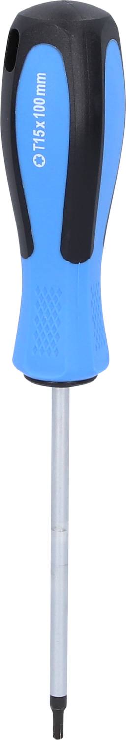 Blauer Schraubendreher mit schwarzem Griff und silberner Spitze, gekennzeichnet mit 'T 15x100mm'. Geeignet für TORX-Schrauben.