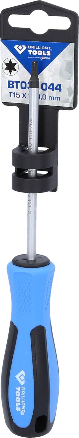 Schraubendreher mit blau-schwarzem Griff, T15 x 100 mm Größe, mit Etikett und Aufhängeloch. Markierung 'Tivoly Expert'.