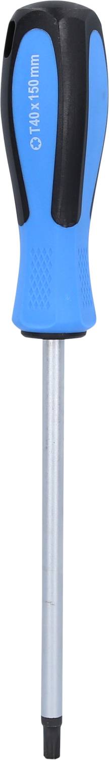 Ein blauer Schraubendreher mit schwarzem Griff zeigt eine Metallklinge. Text auf dem Griff: 'Y10 x 100mm'.