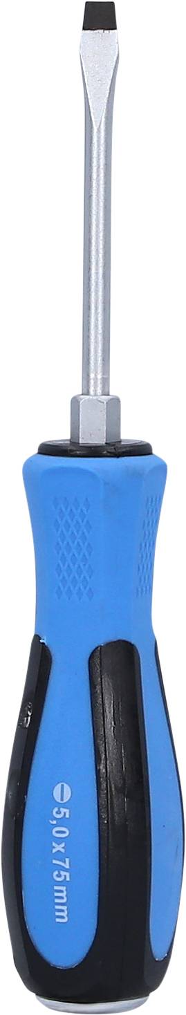 Ein Schraubendreher mit blauen und schwarzen Gummigriff.