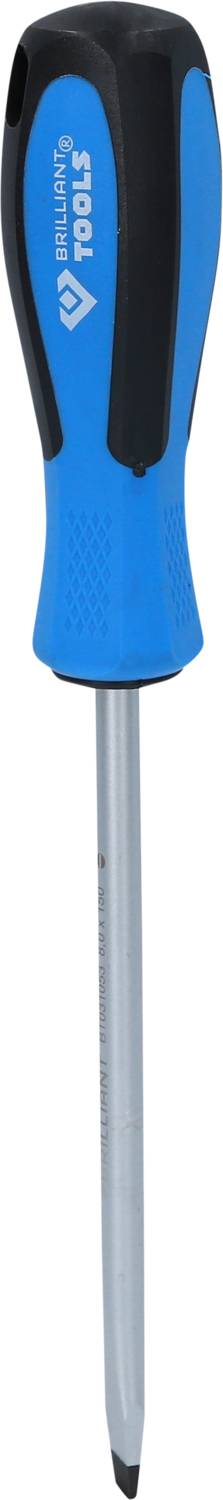 Ein blauer Schraubendreher mit schwarzem Griff und Metallspitze.