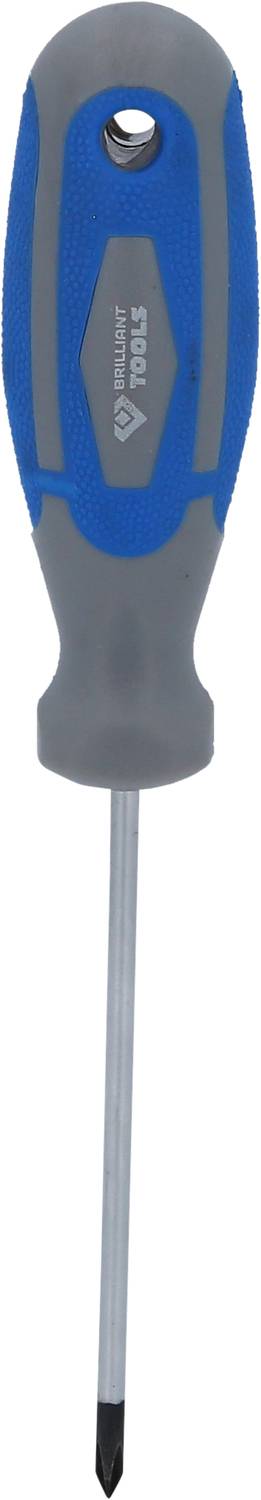 Ein Kreuzschlitzschraubendreher mit blauem und grauem Griff.