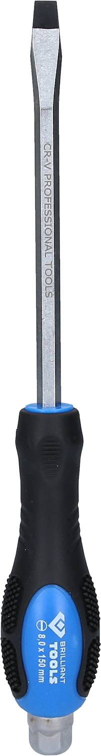 Ein Schlitzschraubendreher mit blau-schwarzem Griff und Metallspitze. Auf der Klinge steht 'CRV PROFESSIONAL TOOLS'.