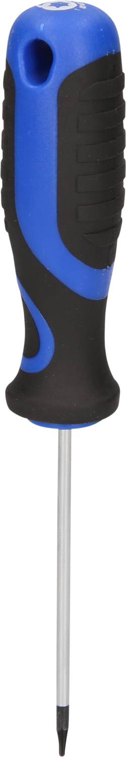 Blauer und schwarzer Schraubendreher mit einem ergonomischen Griff und einer langen, schmalen Metallspitze.