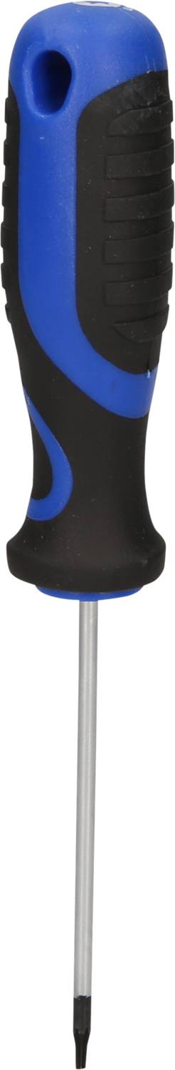 Ein blauer und schwarzer Schraubendreher mit ergonomischem Griff und schmaler Spitze.