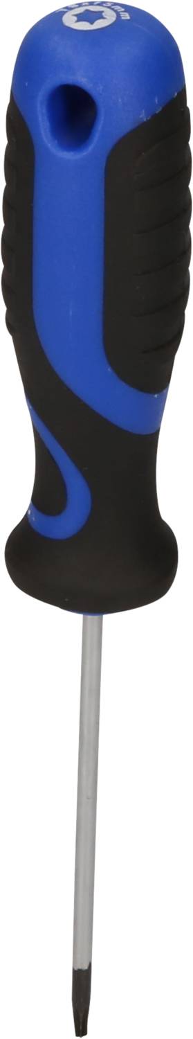 Ein Schraubendreher mit blau-schwarzem Griff und silbernem Metallschaft, geeignet für Kreuzschlitzschrauben.