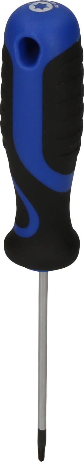 Blauer Schraubendreher mit ergonomischem Griff und Sternspitze.