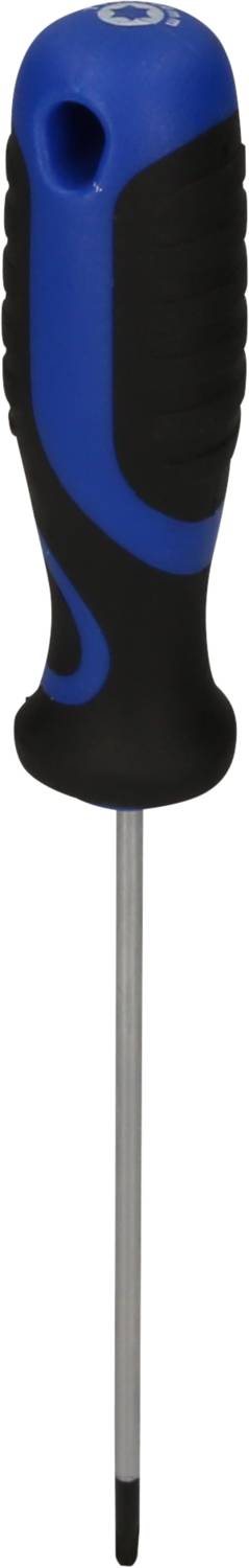 Blauer und schwarzer Schraubendreher mit ergonomischem Griff und silbernem Schaft.