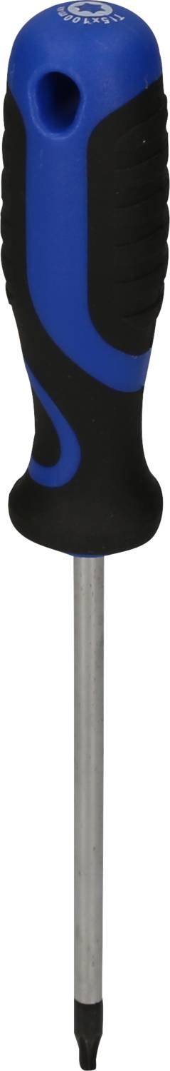 Ein blauer Schraubendreher mit schwarzem Griff und Metallspitze in Nahaufnahme.