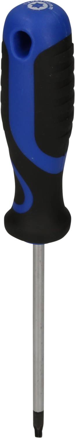 Ein Schraubendreher mit blau-schwarzem Griff und einer Metallstange.