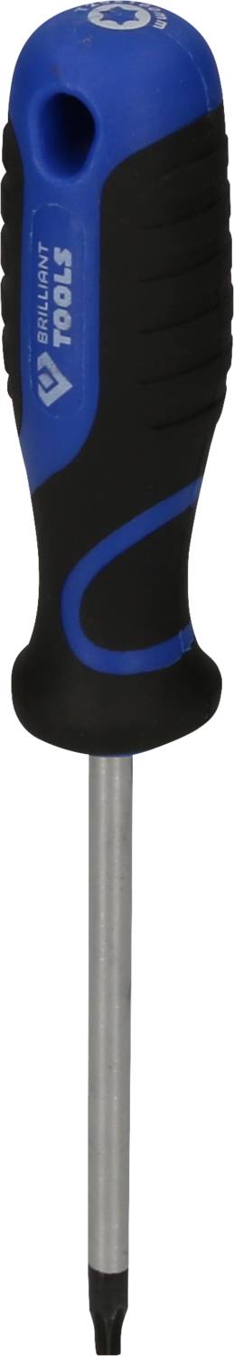 Schraubendreher mit blau-schwarzem Griff, Metallspitze, geeignet für Torx-Schrauben. Werkzeug für Heimwerkerarbeiten.