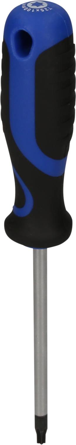 Ein blauer und schwarzer Schraubendreher mit ergonomischem Griff und Metallspitze, geeignet für Kreuzschlitzschrauben.