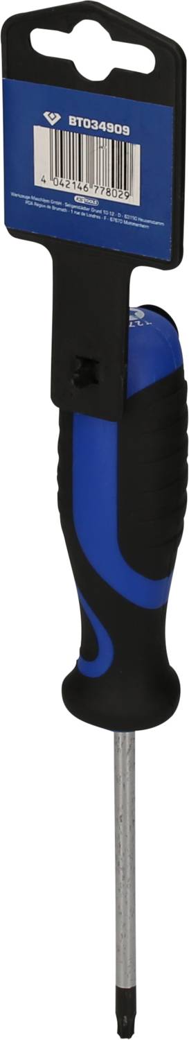 Ein Schraubendreher mit blau-schwarzem Griff und Kreuzschlitzklinge.