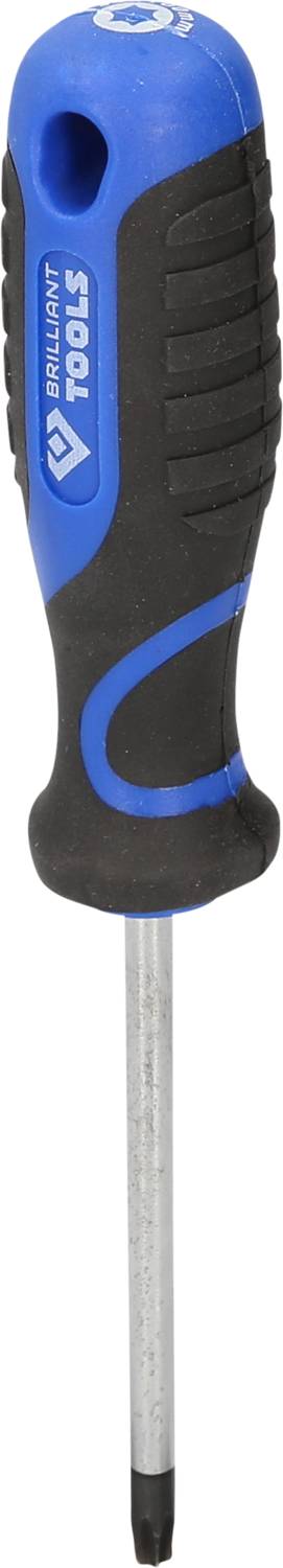 Ein blauer und schwarzer Schraubendreher mit ergonomischem Griff und einem Torx-Kopf, geeignet für präzise Schraubarbeiten.