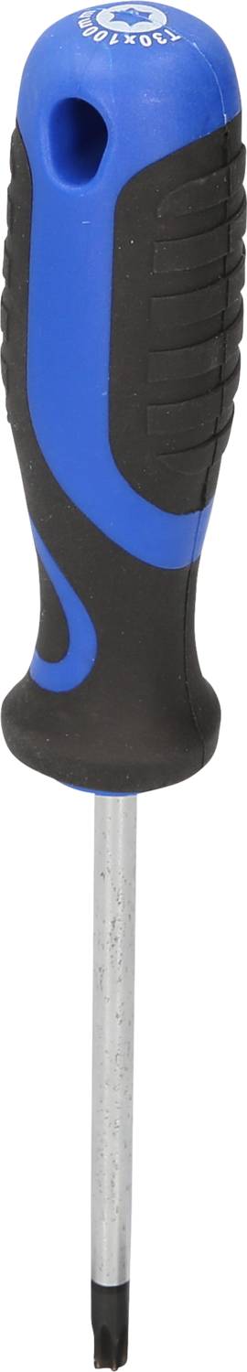 Ein Schraubendreher mit blau-schwarzem Griff und einem flachen Metallkopf, geeignet für sternförmige Schrauben.