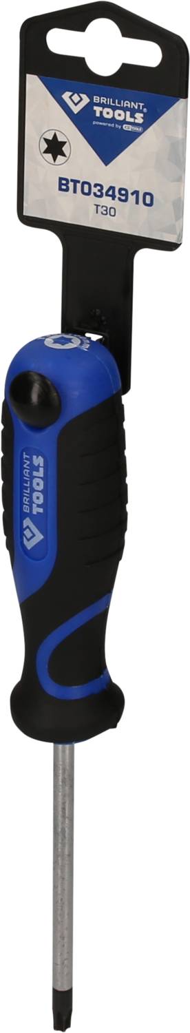 Schraubendreher mit blau-schwarzem Griff, Markenetikett 'GT034910 T30', geeignet für Kreuzschlitz-Schrauben.
