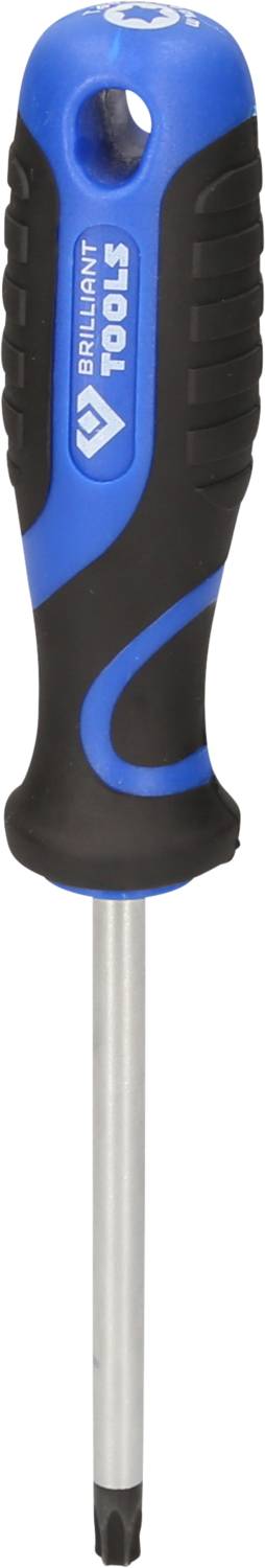 Blauer Schraubendreher mit schwarzem Griff und Metallspitze, Markenlogo auf dem Griff abgebildet.