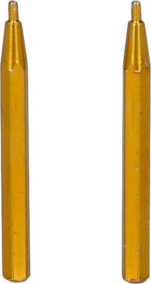 Zwei goldfarbene Nadeln aus Metall, parallel nebeneinander, auf weißem Hintergrund.