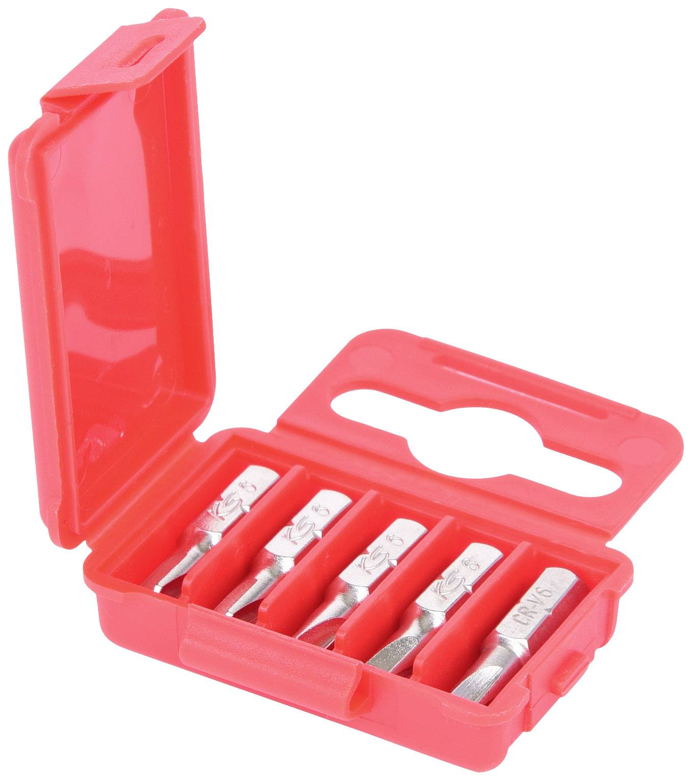 Ein offenes rotes Etui mit fünf silbernen Einsätzen, die sicher aufgereiht sind.