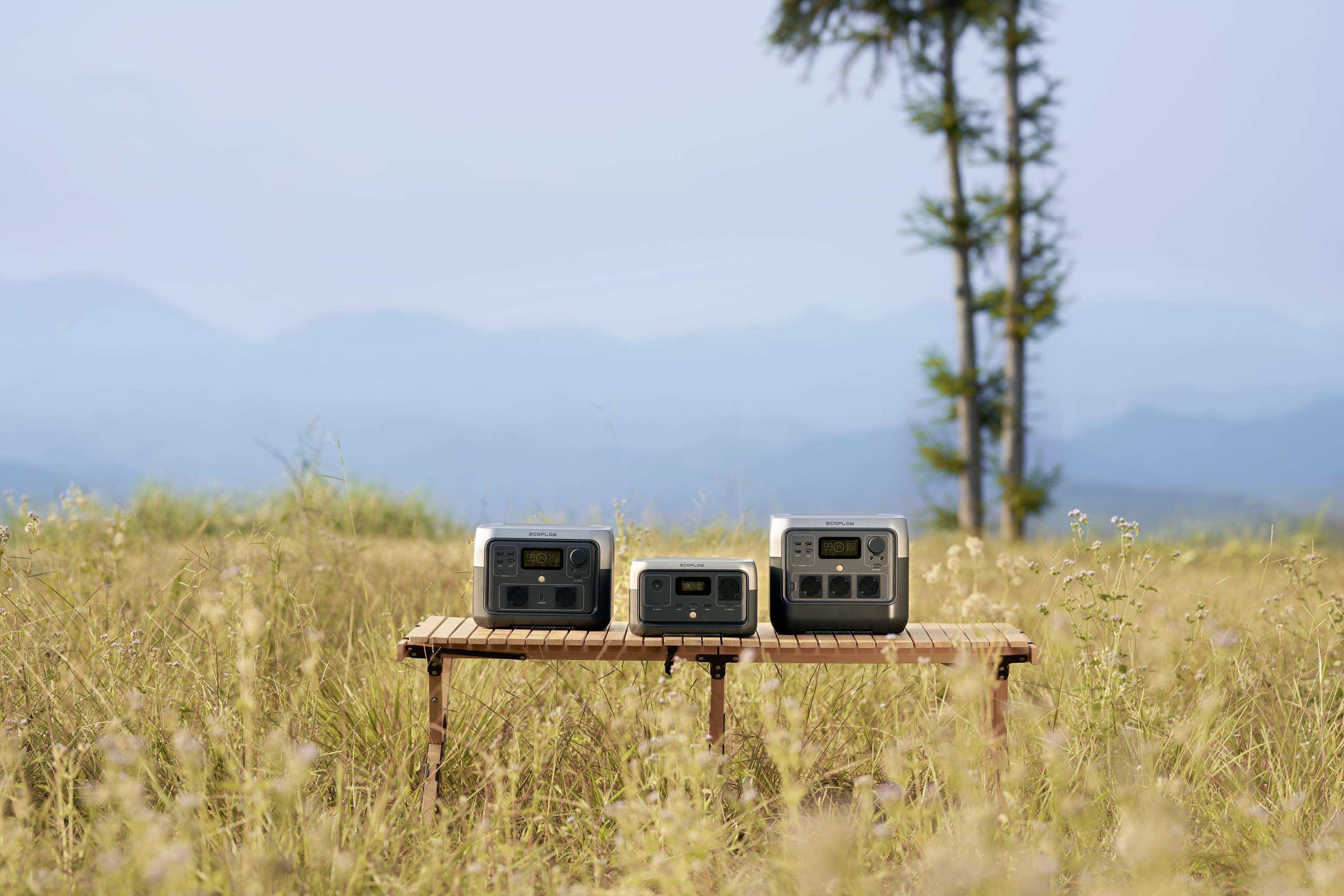 ECOFLOW River 2 Powerstation LiFePO 4 Schwarz mit Laderegler