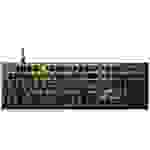 RAZER DeathStalker V2 USB Gaming-Tastatur Abnehmbares Kabel, Beleuchtet, Integrierter Profilspeicher, Multimediatasten
