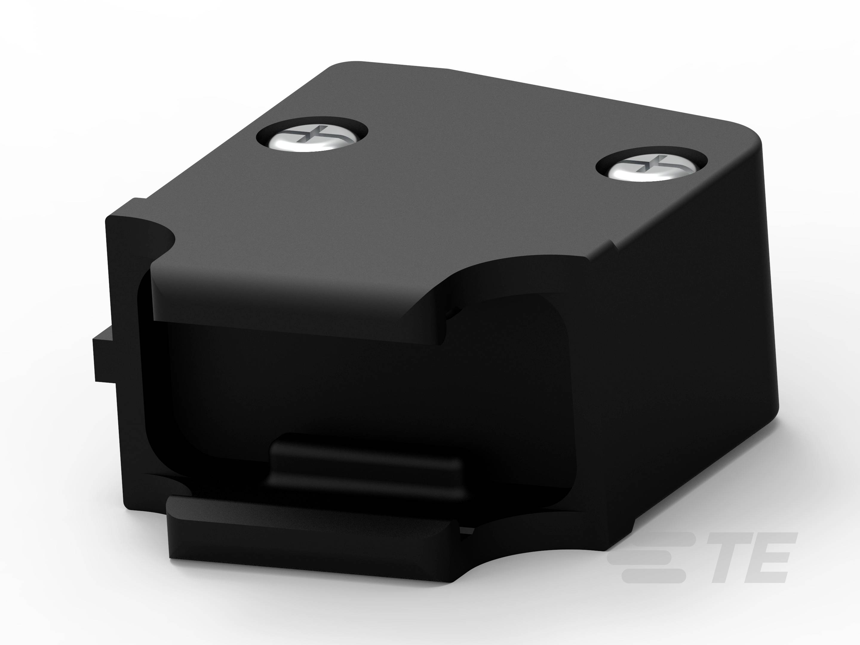 Schwarzes Kunststoffgehäuse mit zwei Schrauben, auf weißem Hintergrund.