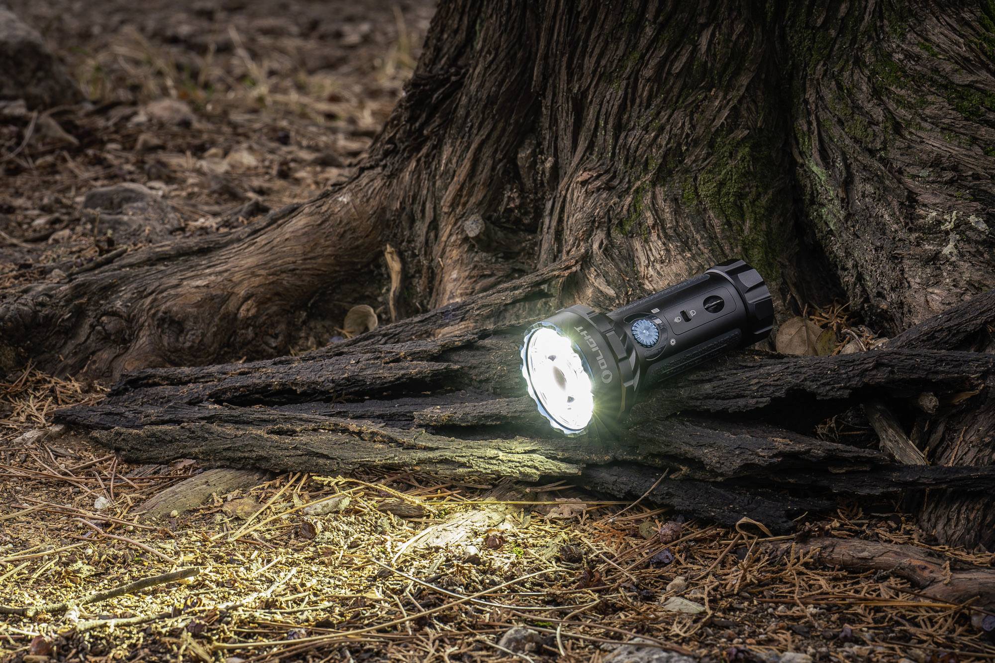 Taschenlampe leuchtet auf Waldboden vor einem Baumstamm, beleuchtet Blätter und Zweige in natürlicher Umgebung.