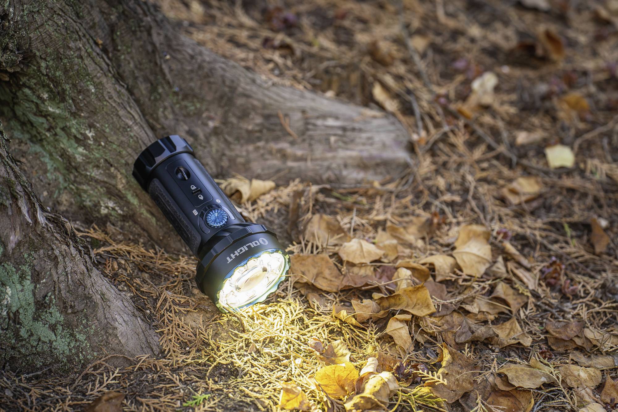 Eine schwarze Taschenlampe leuchtet auf Laub am Waldboden neben einem Baumstamm. Die Szene zeigt Outdoor-Nutzung einer Taschenlampe.