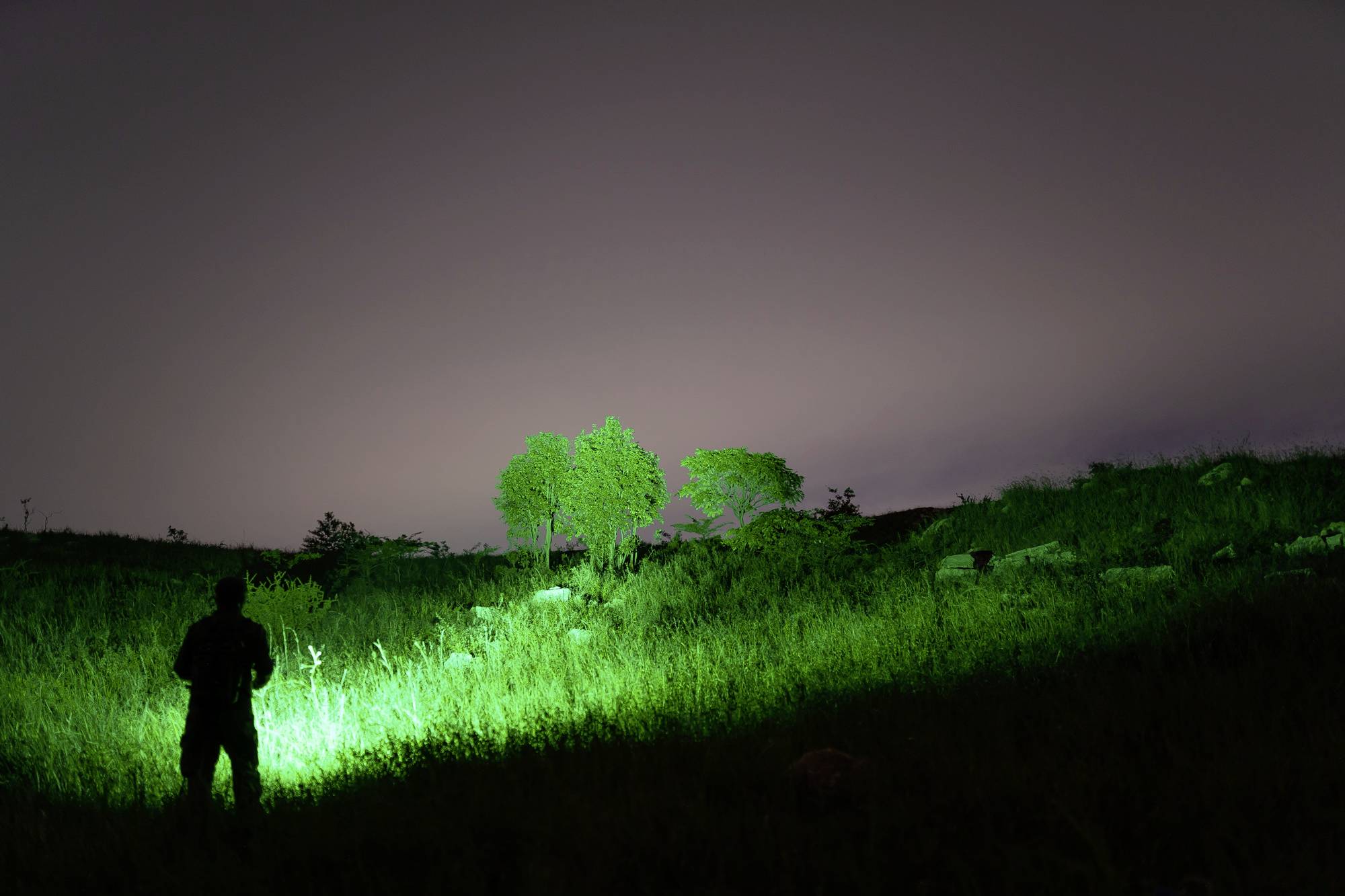 Eine Person steht nachts auf einem Feld und beleuchtet mit einer grünen Taschenlampe Bäume in der Ferne. Der Himmel ist dunkel.