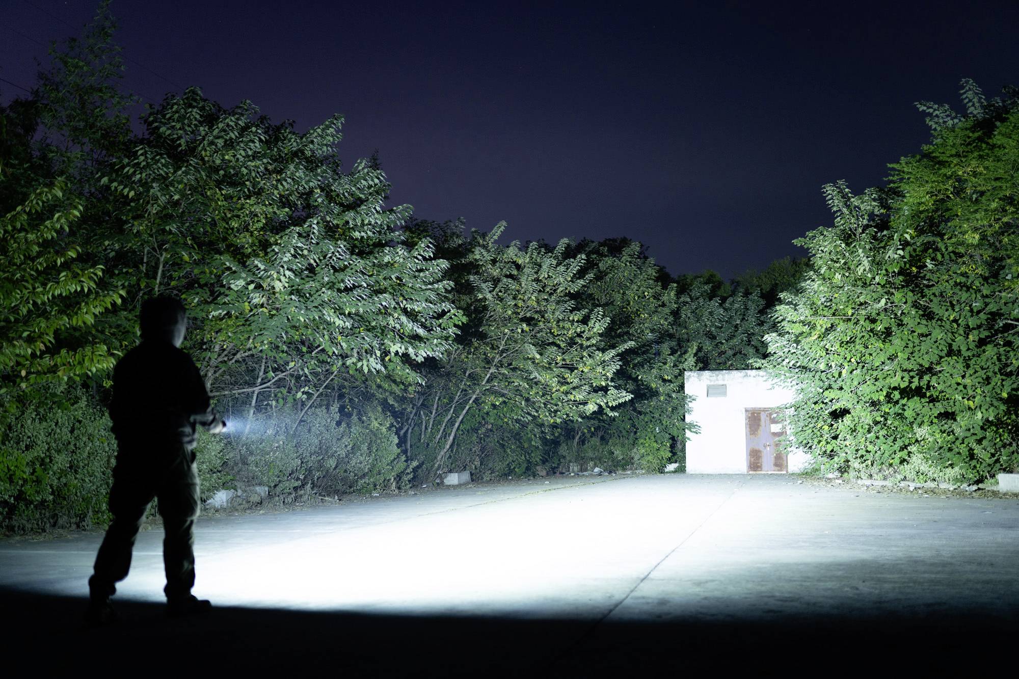 Eine Person beleuchtet nachts mit einer Taschenlampe einen von Bäumen umgebenen Weg. Im Hintergrund ist ein beleuchtetes Gebäude zu sehen.