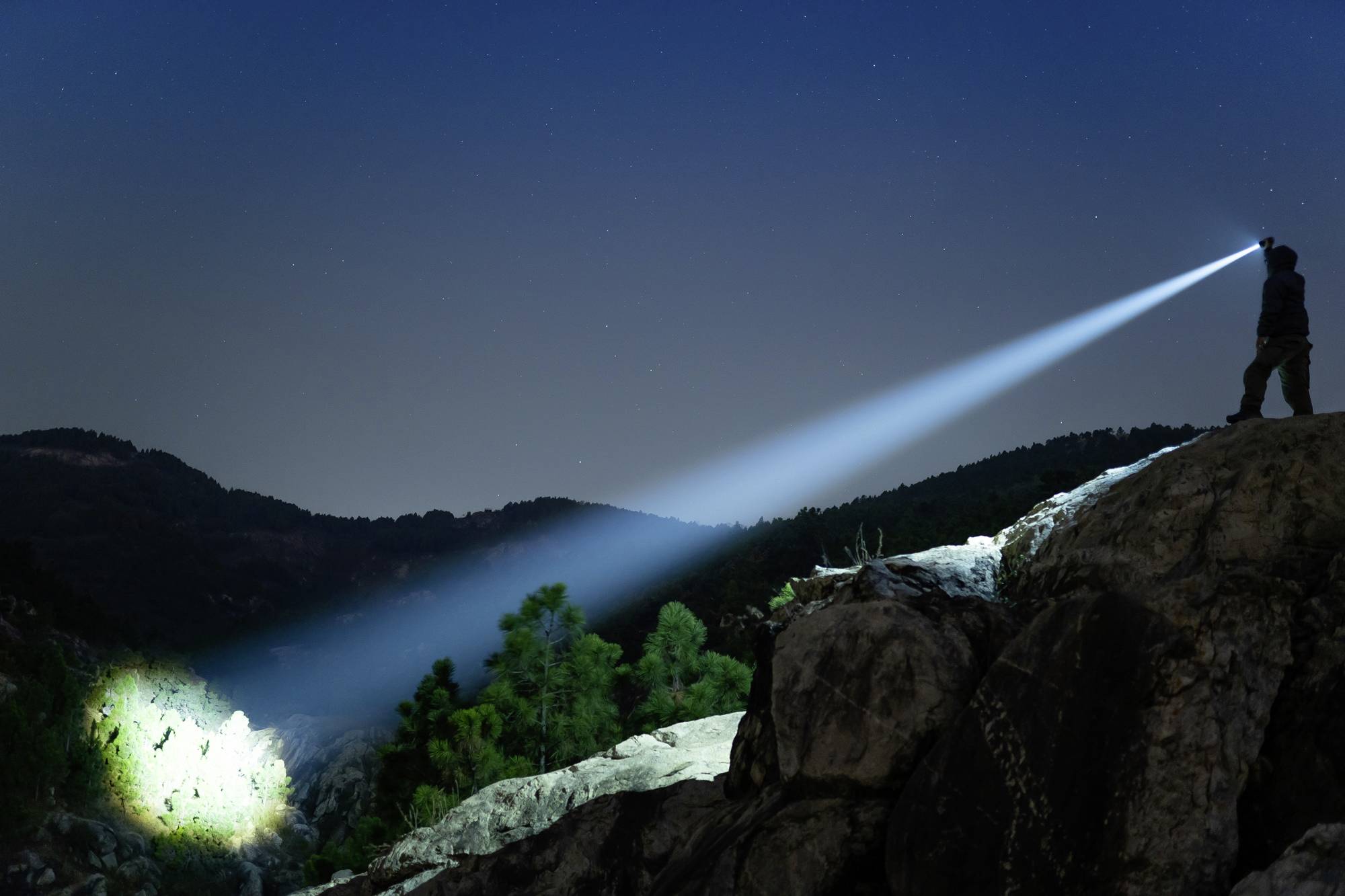 Eine Person steht nachts auf einem Felsen und leuchtet mit einer Taschenlampe auf einen Baum, der in der Dunkelheit hervorgehoben wird.
