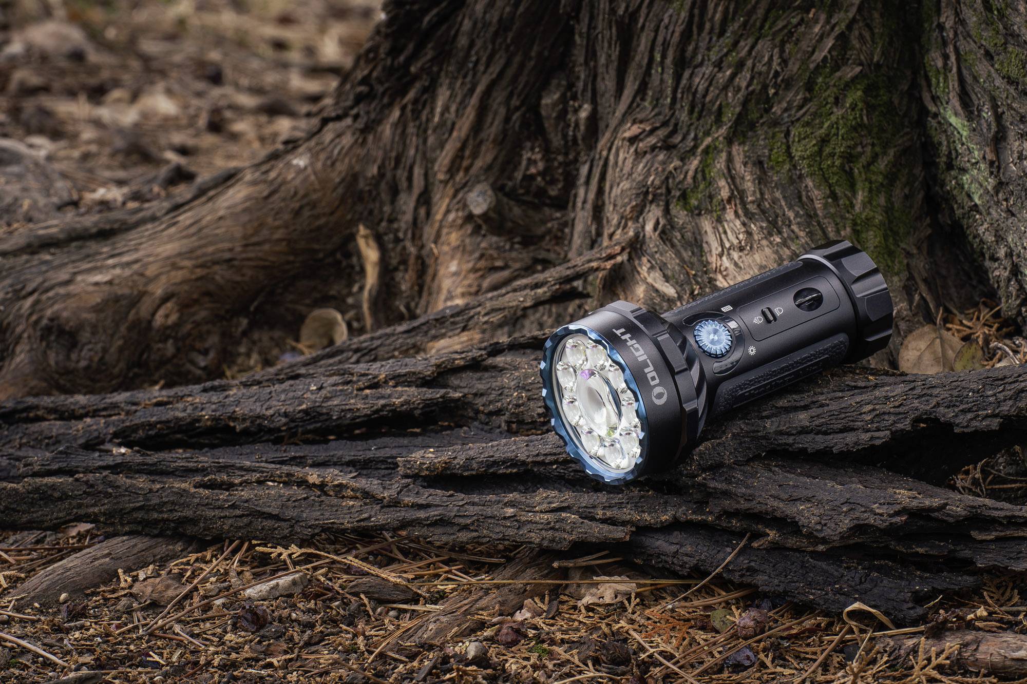 Eine schwarze Taschenlampe liegt auf einem Baumstamm im Wald, umgeben von Laub und Bäumen, die eine natürliche Umgebung darstellen.