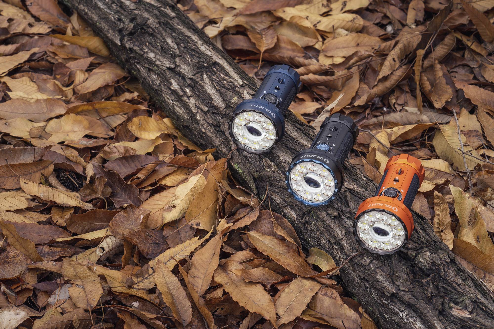 Drei Taschenlampen liegen auf einem Baumstamm, umgeben von herbstlichen Blättern. Sie haben unterschiedliche Farben: blau, schwarz und orange.