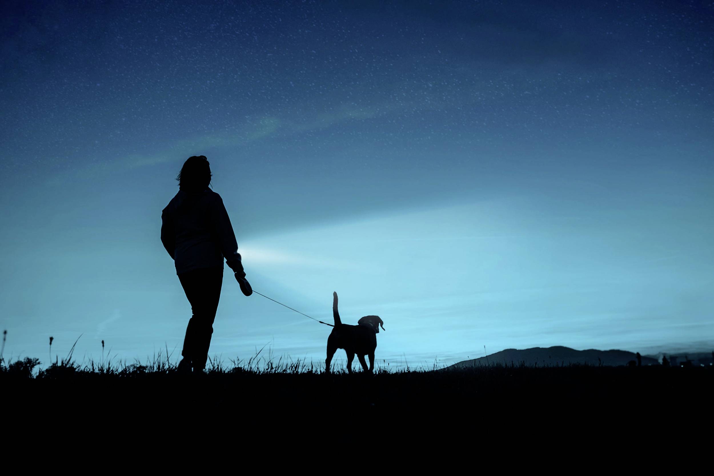 Eine Person geht nachts mit einem Hund spazieren, leuchtet mit einer Taschenlampe auf einem Feld, Berge sind im Hintergrund sichtbar.