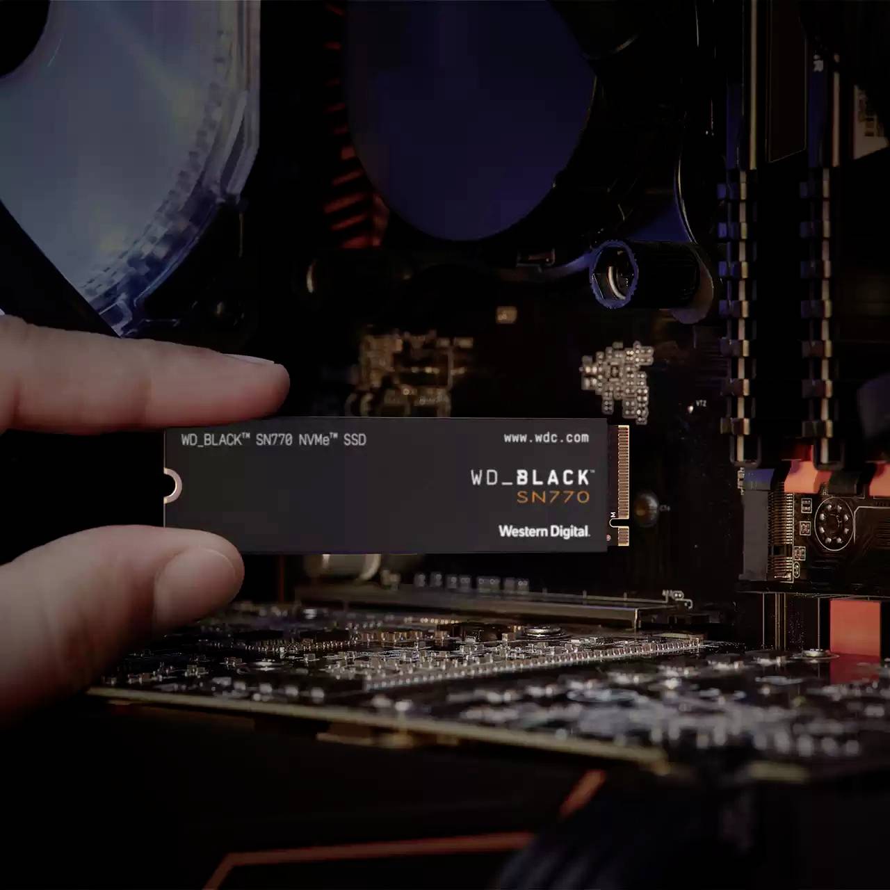Western Digital Black™ SN770 1 TB Interne M.2 PCIe NVMe SSD 2280 M.2 NVMe PCIe 4.0 x4 Retail WDS100T3X0E