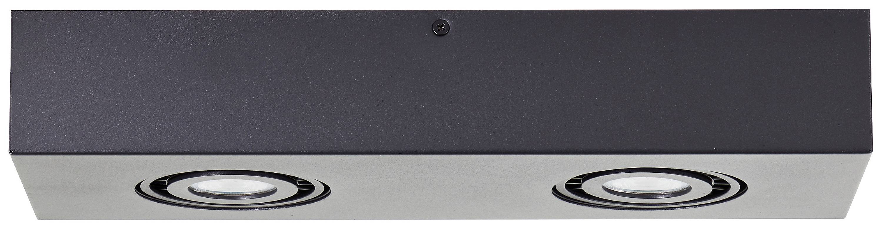 Ein rechteckiges, modernes Deckeneinbauleuchten-Modul mit zwei runden, eingebetteten Spotlichtern, in einem dunklen Gehäuse.